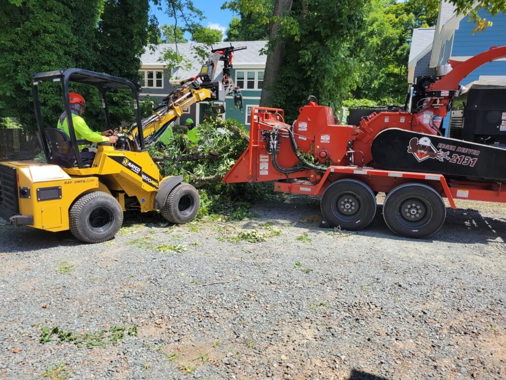 tree-service-chapel-hill-nc