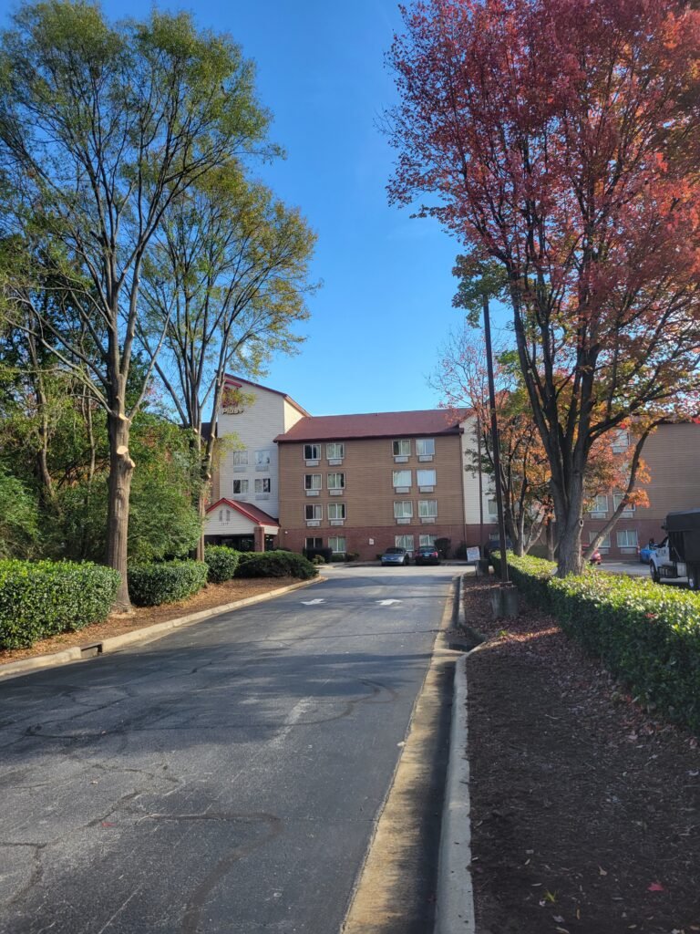 commercial tree services smart tree