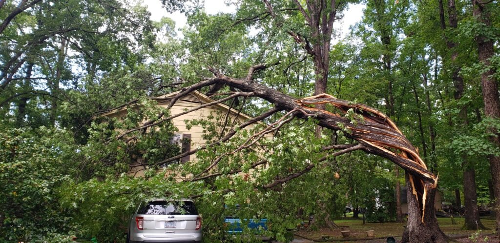 big oak fallen over the house durham