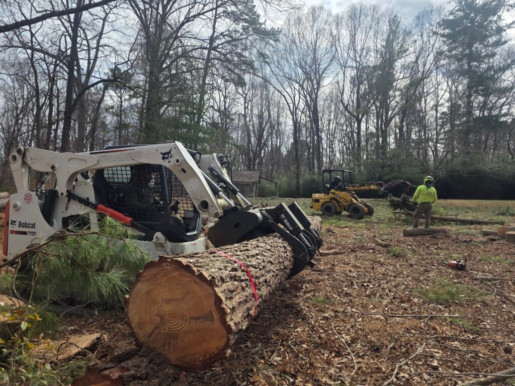 tree removal services in durham