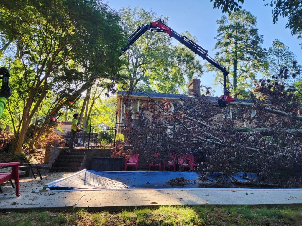 carane EMERGENCY tree service in durham nc