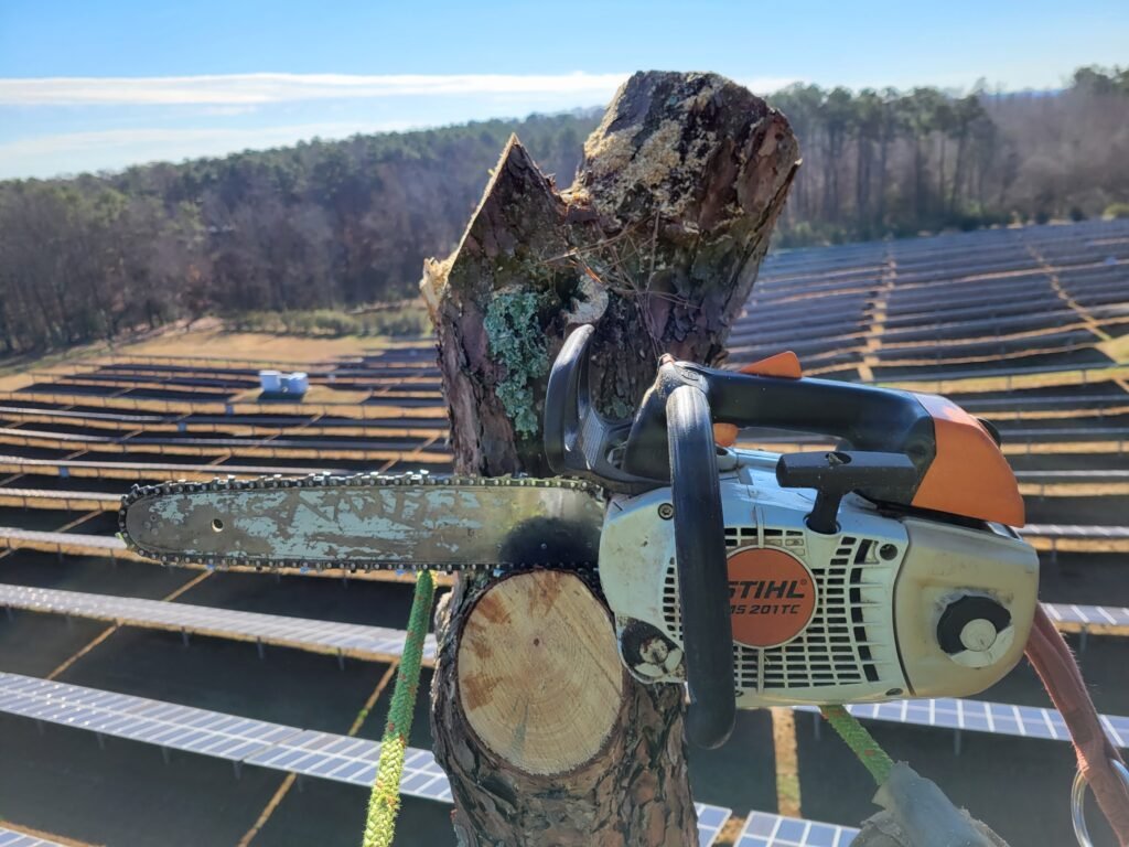 commercial tree removal