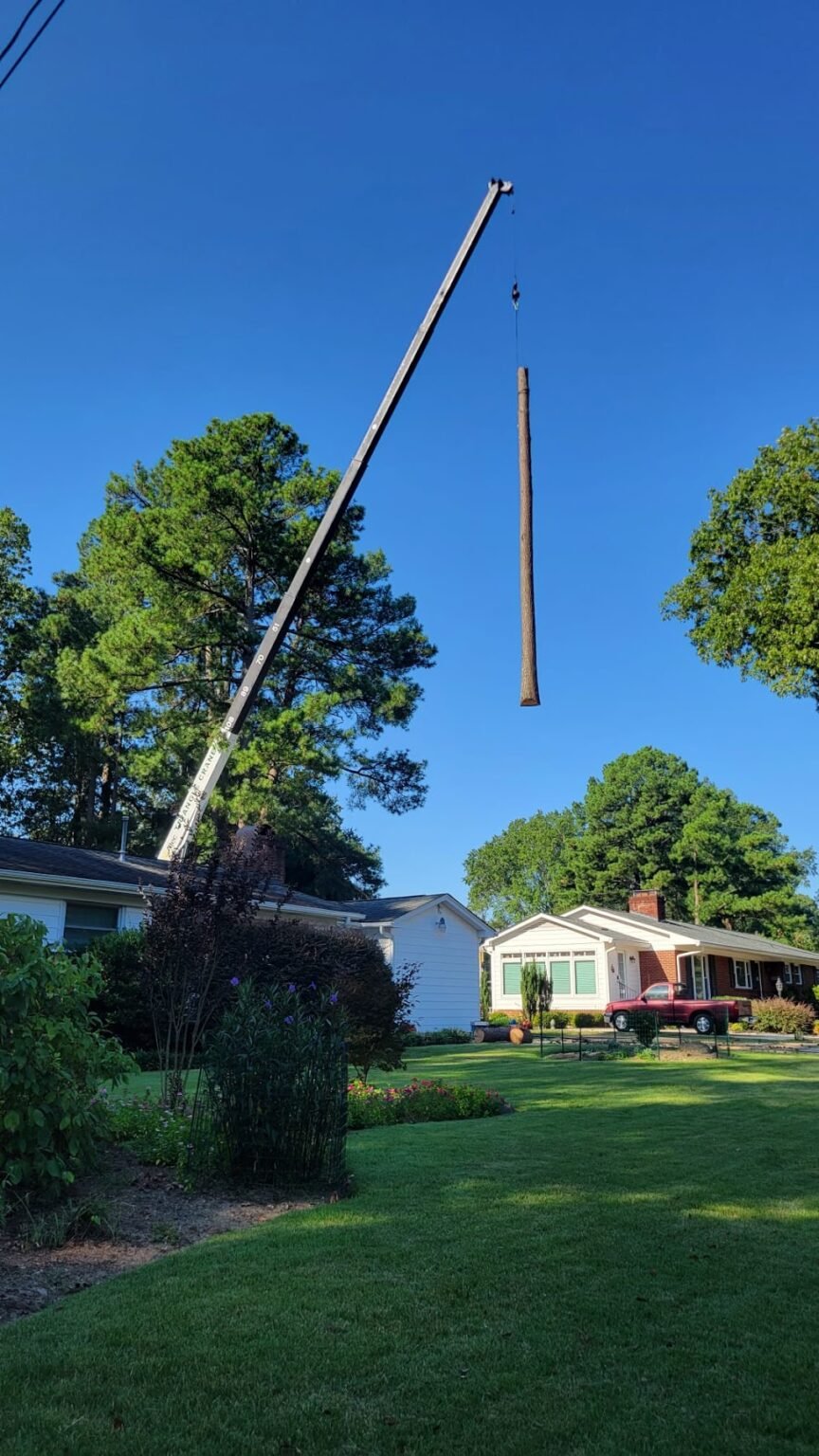 Crane Tree Removal - Smart Tree Service