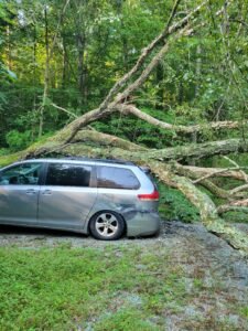 emergency tree removal carrboro