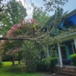 Emergency Tree Removal Services in Chapel Hill emergency tree removal chapel hill nc