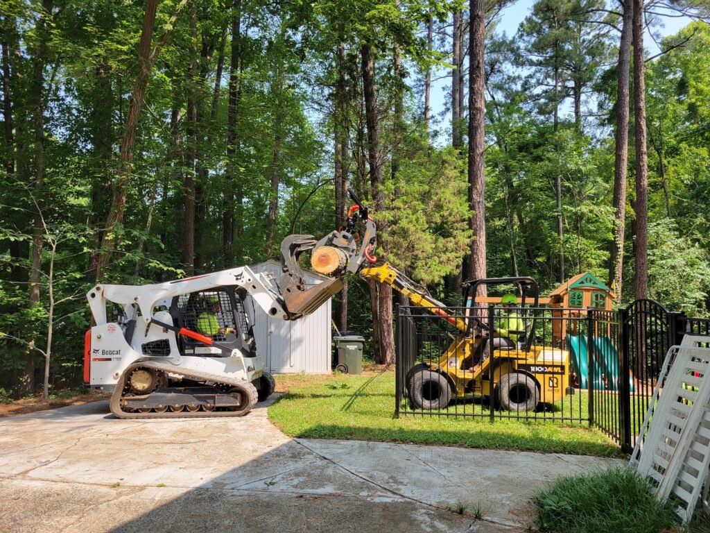 residential tree removal services smart