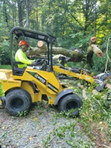 smart tree emergency tree services