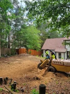 stump grinding in chapel hill