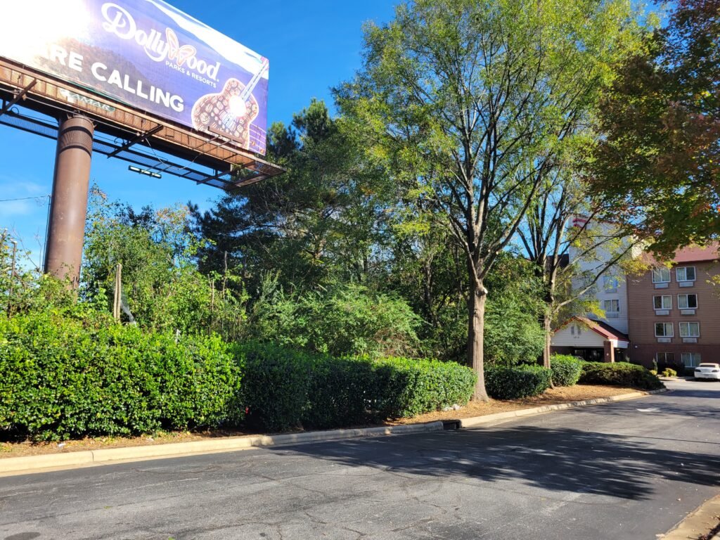 commercial tree removal chapel hill nc