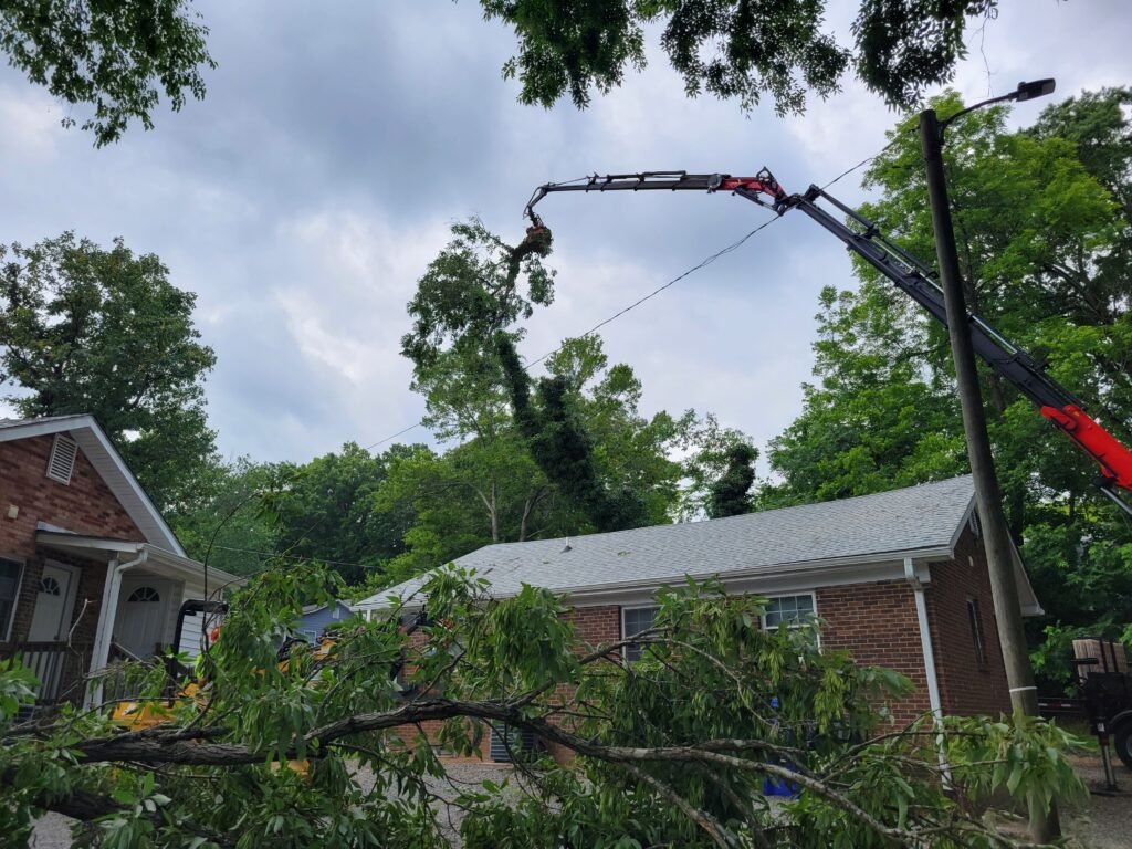 crane-assisted-tree-removal-raleigh-nc-smart-tree-service