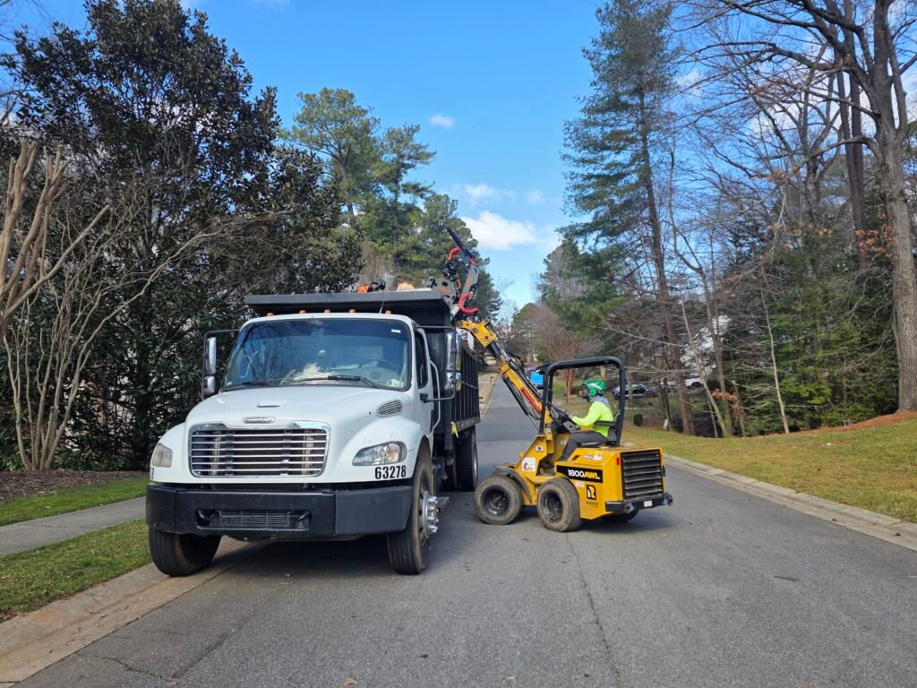 local tree company service in RALEIGH NC