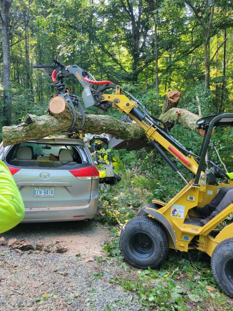 emergency-tree-removal-raleigh-nc-storm-damage