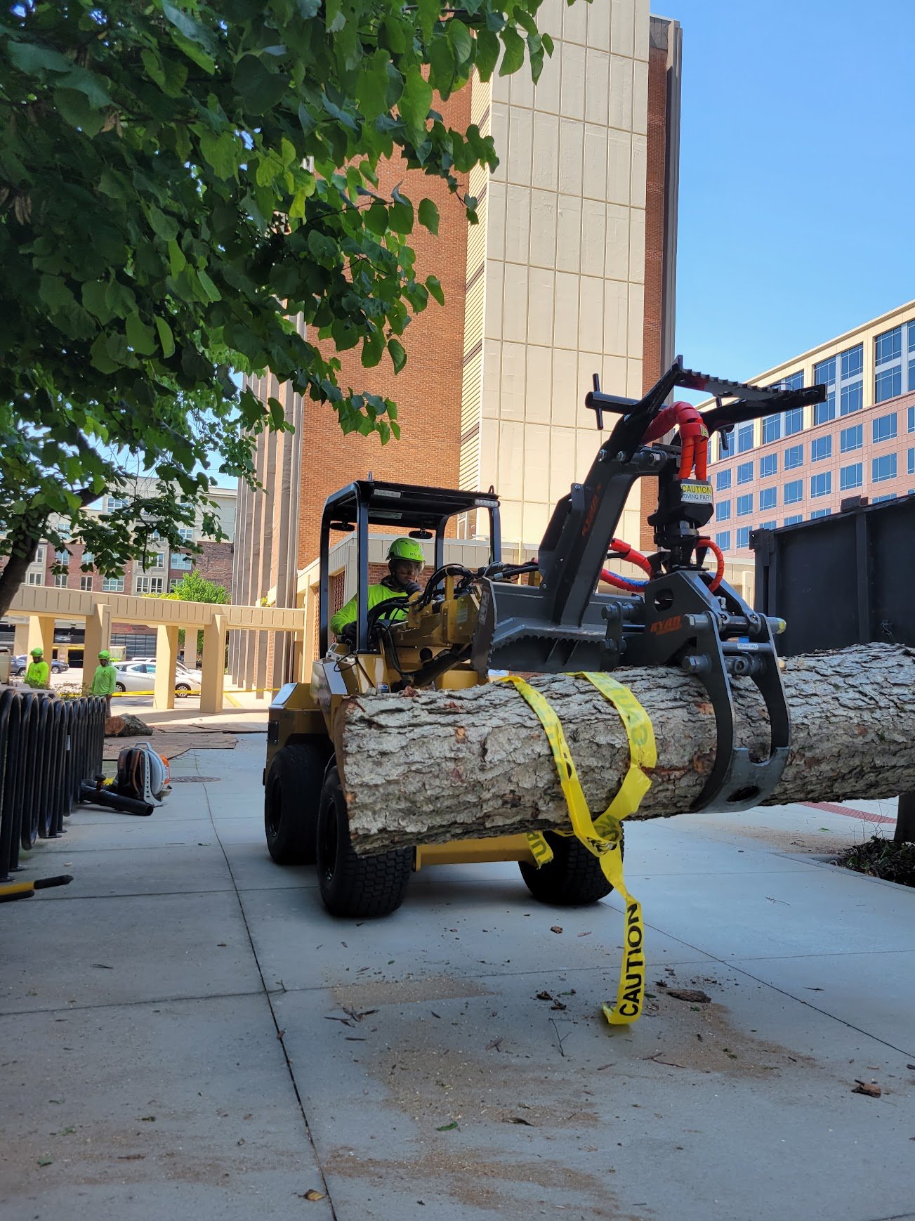 commercia tree service in chapel hill