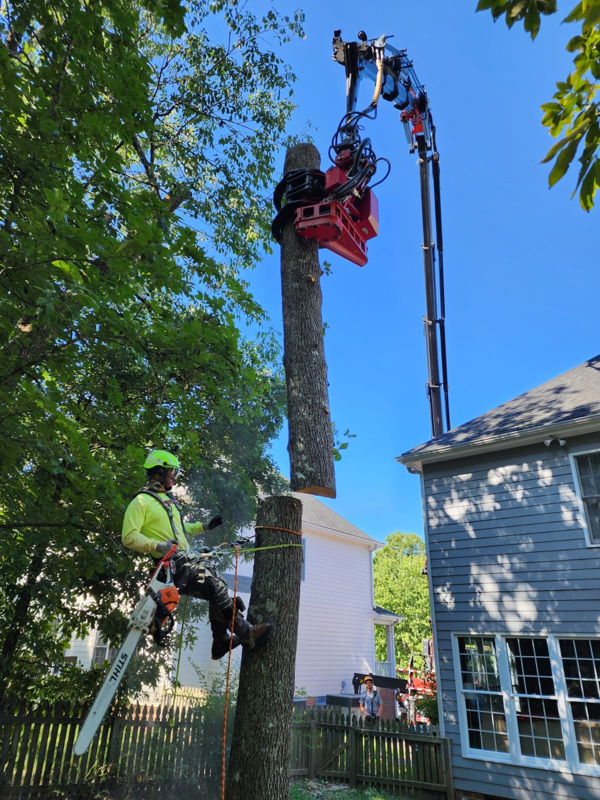 crane tree services durham