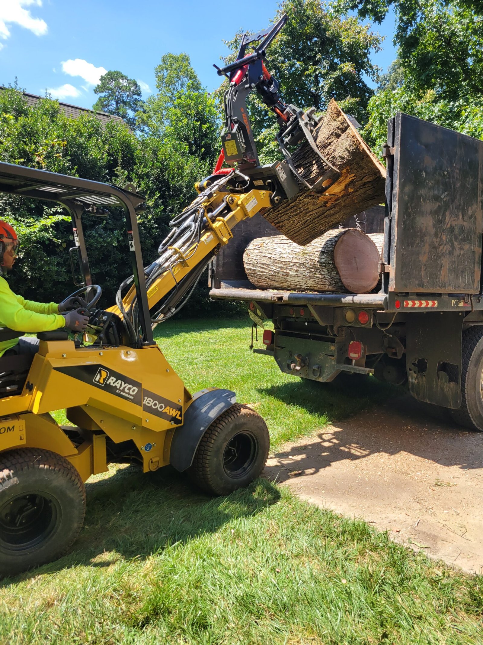 residential tree service in chapel hill
