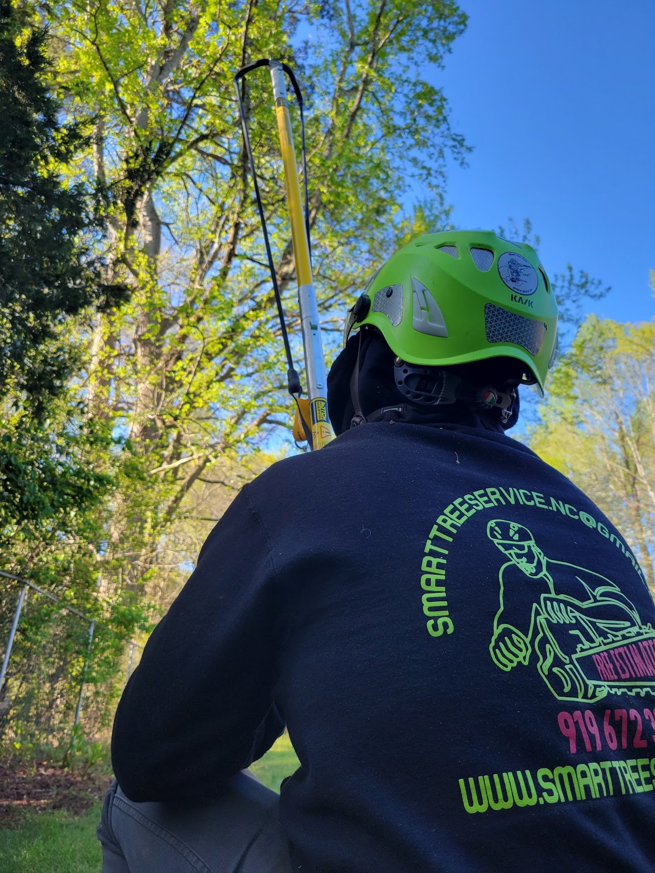 smart tree service team