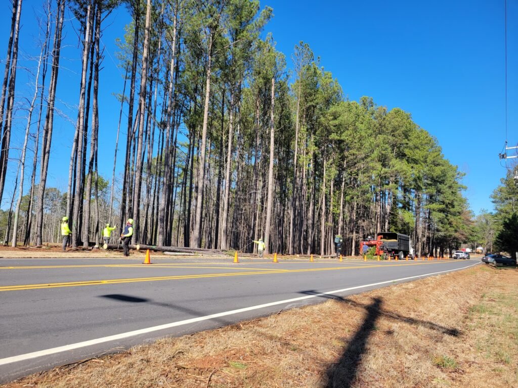 Commercial Tree Service Burlington NC