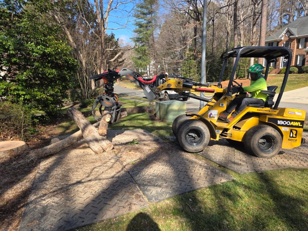 Residential Tree Service in Burlington NC