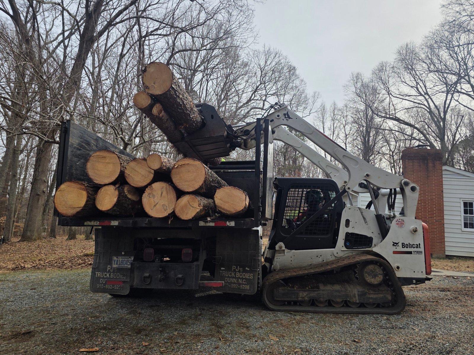 Tree Removal in Carrboro, NC