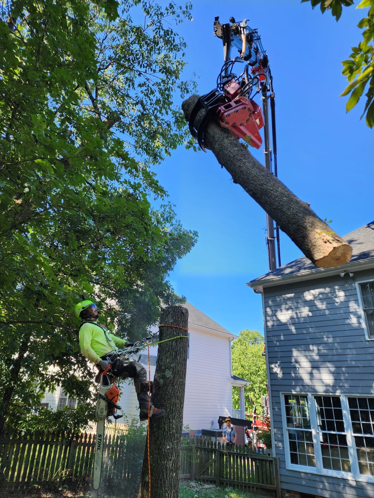 crane tree removal service in durham by smart tree