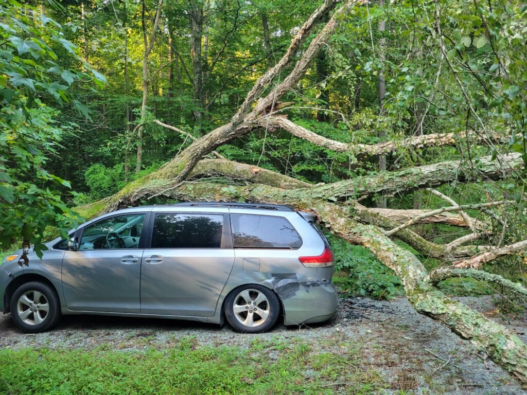 24/7 Emergency Tree Removal Burlington NC