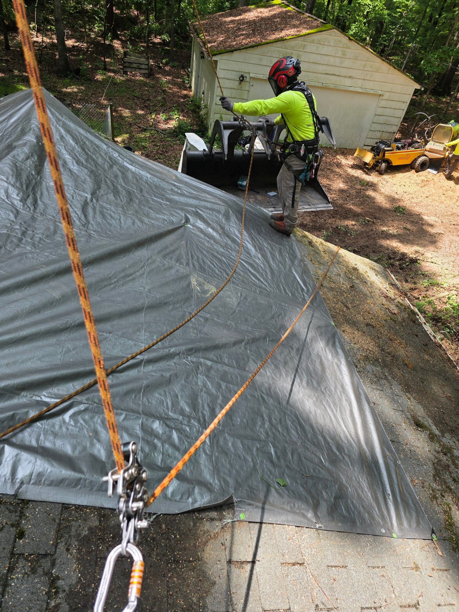 Emergency Tree Removal in Durham, NC