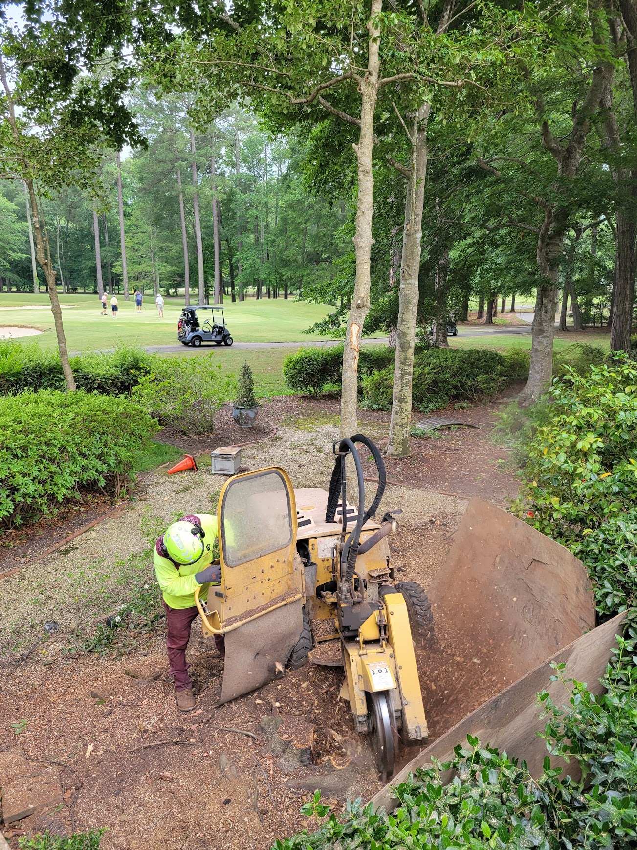 Stump Grinding in Carrboro, NC