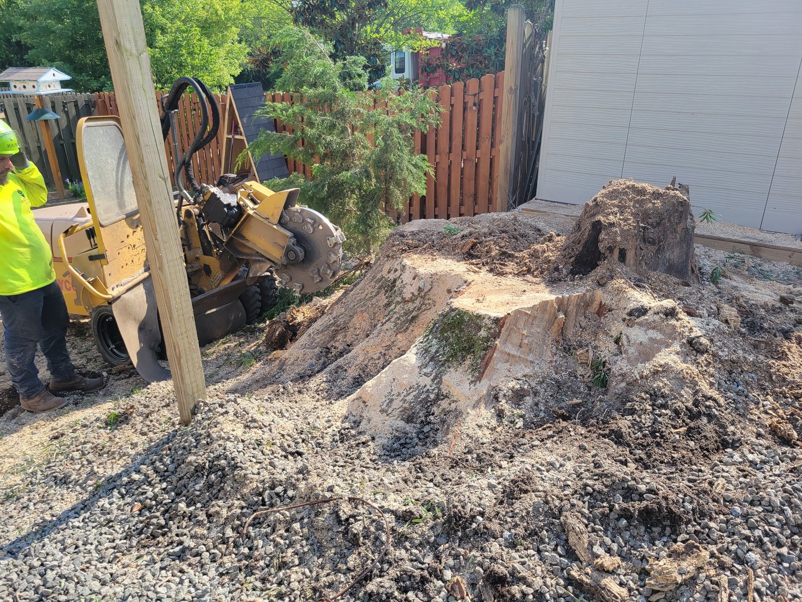 Stump Grinding in Carrboro, NC